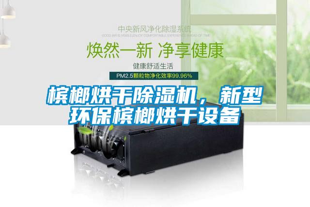 檳榔烘干除濕機，新型環(huán)保檳榔烘干設(shè)備