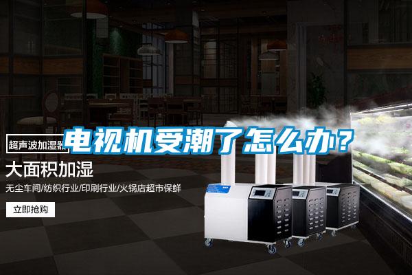 電視機(jī)受潮了怎么辦？