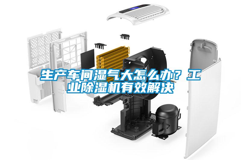 生產(chǎn)車間濕氣大怎么辦？工業(yè)除濕機有效解決