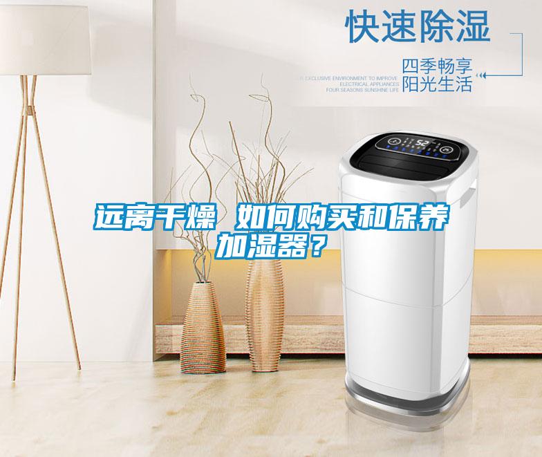 遠(yuǎn)離干燥 如何購買和保養(yǎng)加濕器？