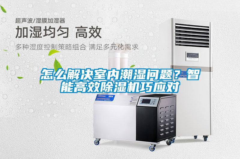 怎么解決室內潮濕問題？智能高效除濕機巧應對