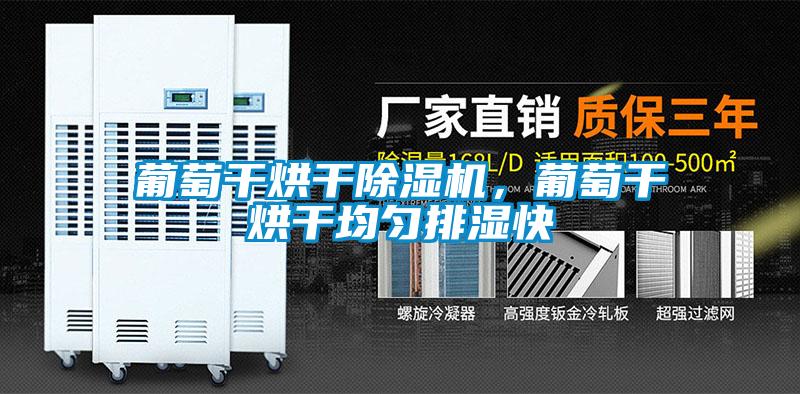 葡萄干烘干除濕機，葡萄干烘干均勻排濕快
