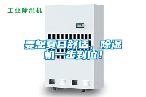 要想夏日舒適，除濕機一步到位！