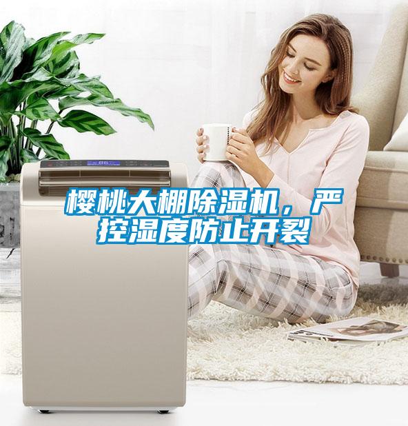 櫻桃大棚除濕機(jī)，嚴(yán)控濕度防止開裂