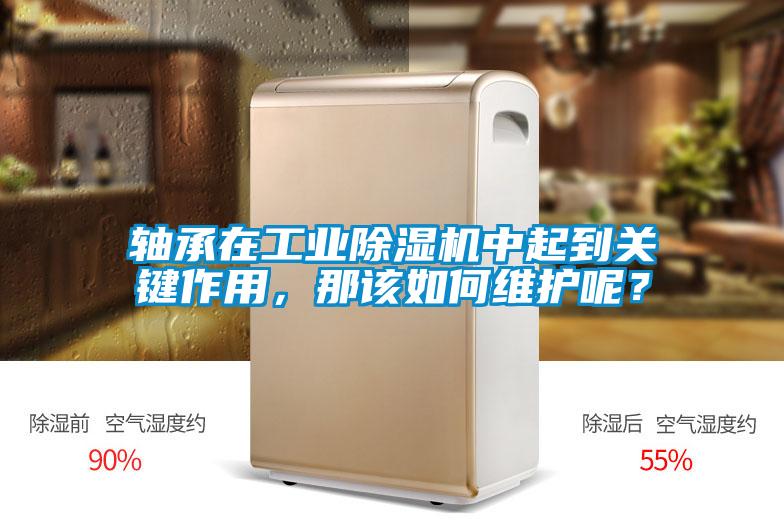軸承在工業(yè)除濕機(jī)中起到關(guān)鍵作用，那該如何維護(hù)呢？