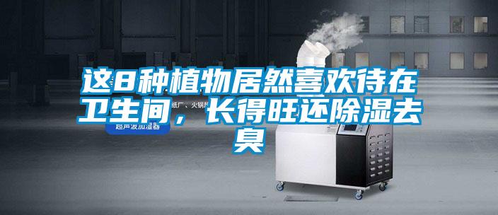 這8種植物居然喜歡待在衛(wèi)生間，長(zhǎng)得旺還除濕去臭
