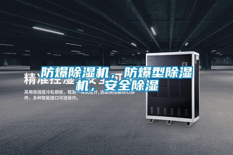 防爆除濕機(jī)，防爆型除濕機(jī)，安全除濕