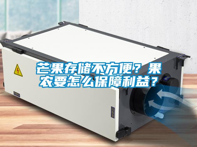 芒果存儲不方便？果農(nóng)要怎么保障利益？