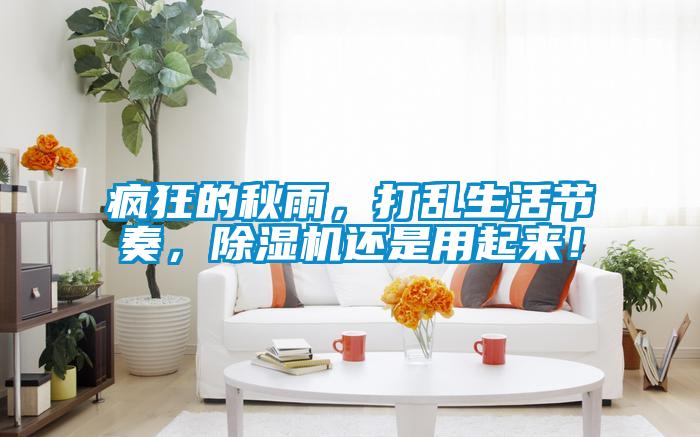 瘋狂的秋雨，打亂生活節(jié)奏，除濕機(jī)還是用起來！