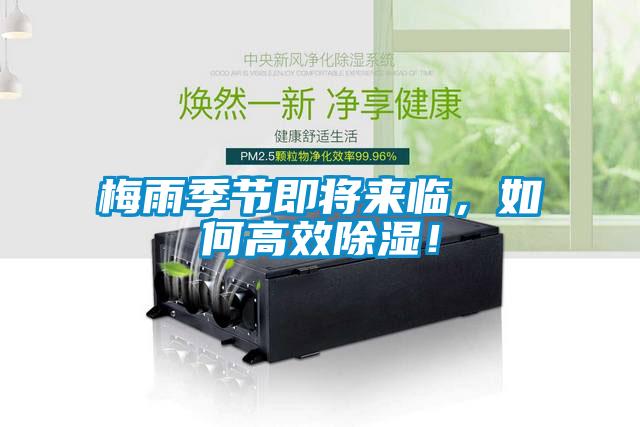 梅雨季節(jié)即將來臨，如何高效除濕！