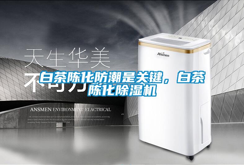 白茶陳化防潮是關(guān)鍵，白茶陳化除濕機