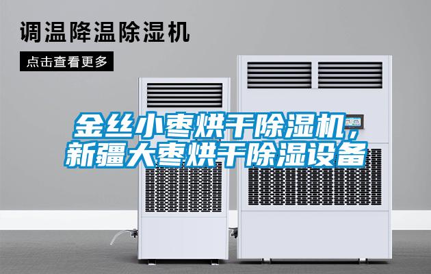 金絲小棗烘干除濕機，新疆大棗烘干除濕設(shè)備