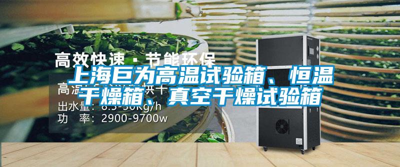 上海巨為高溫試驗(yàn)箱、恒溫干燥箱、真空干燥試驗(yàn)箱
