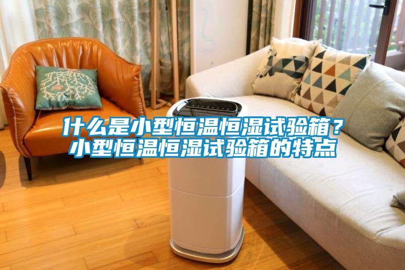什么是小型恒溫恒濕試驗(yàn)箱？小型恒溫恒濕試驗(yàn)箱的特點(diǎn)