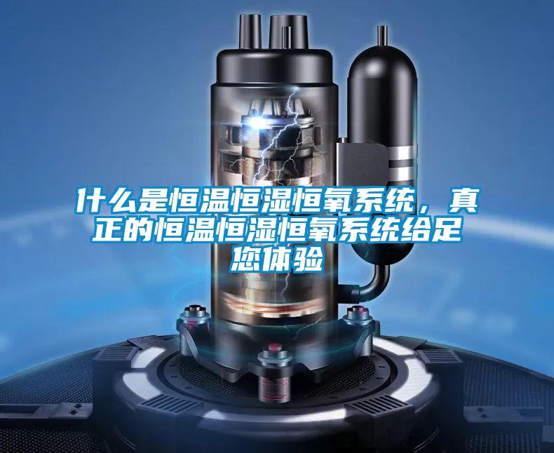 什么是恒溫恒濕恒氧系統(tǒng)，真正的恒溫恒濕恒氧系統(tǒng)給足您體驗(yàn)