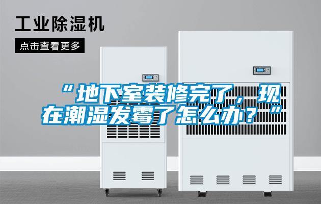 “地下室裝修完了，現(xiàn)在潮濕發(fā)霉了怎么辦？”