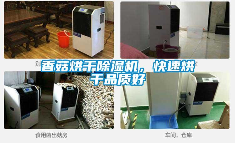 香菇烘干除濕機(jī)，快速烘干品質(zhì)好