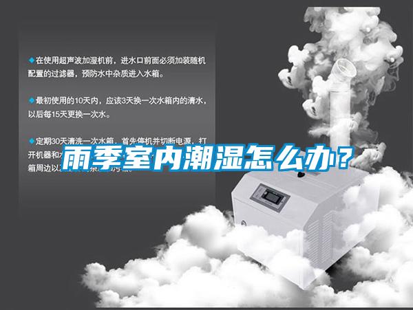 雨季室內潮濕怎么辦？
