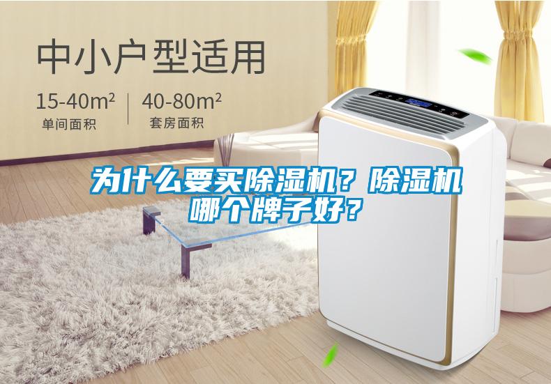 為什么要買除濕機？除濕機哪個牌子好？