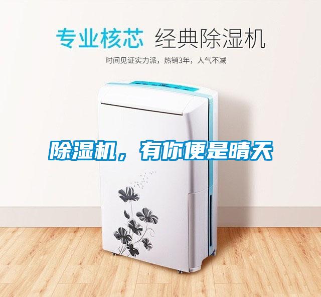 除濕機(jī)，有你便是晴天