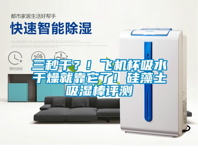 三秒干？! 飛機杯吸水干燥就靠它了! 硅藻土吸濕棒評測