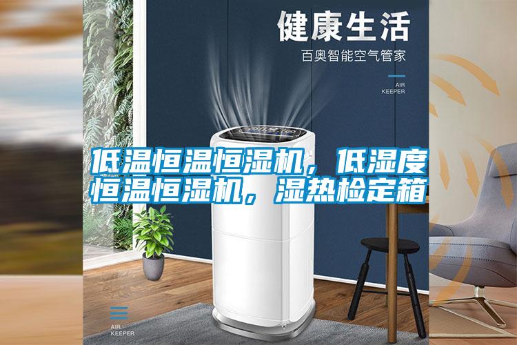 低溫恒溫恒濕機，低濕度恒溫恒濕機，濕熱檢定箱
