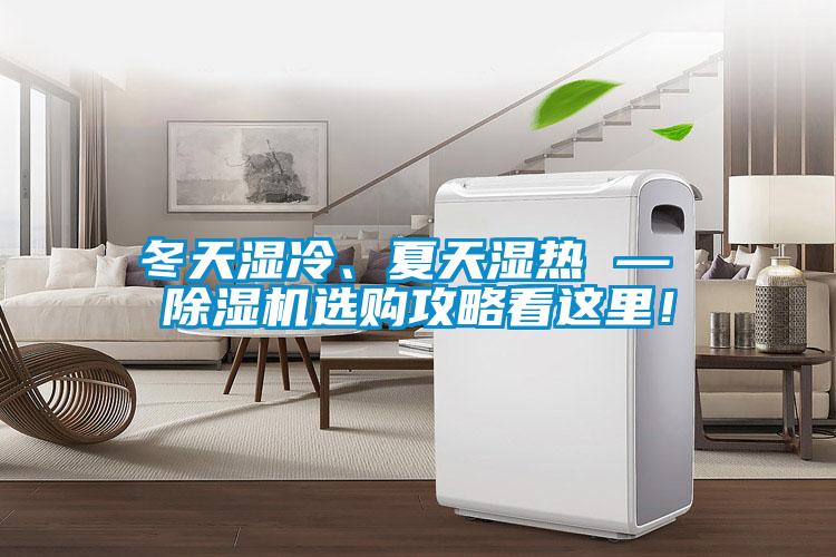 冬天濕冷、夏天濕熱 — 除濕機選購攻略看這里！