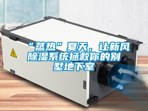 “蒸熱”夏天，讓新風(fēng)除濕系統(tǒng)拯救你的別墅地下室