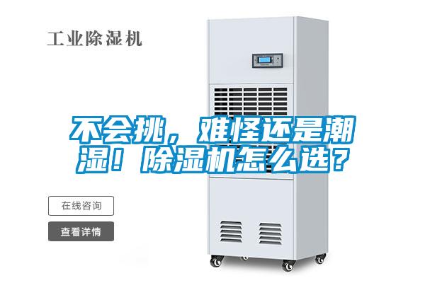 不會挑，難怪還是潮濕！除濕機怎么選？