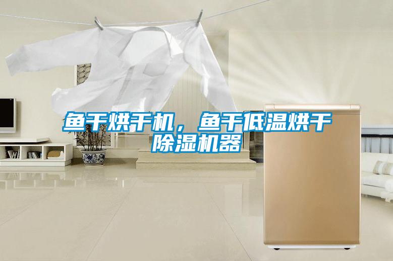 魚干烘干機(jī)，魚干低溫烘干除濕機(jī)器