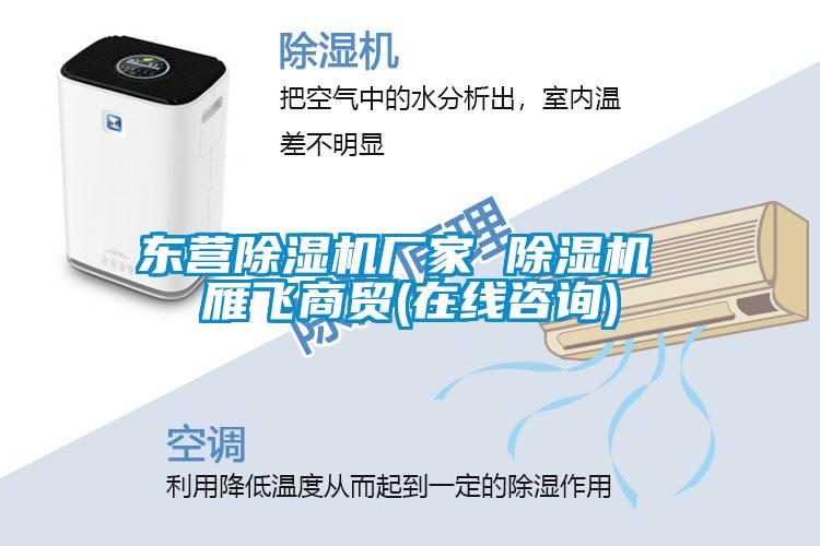 東營(yíng)除濕機(jī)廠家 除濕機(jī) 雁飛商貿(mào)(在線(xiàn)咨詢(xún))