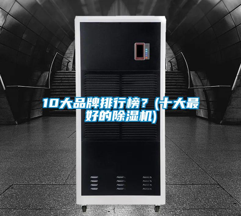 10大品牌排行榜？(十大最好的除濕機(jī))