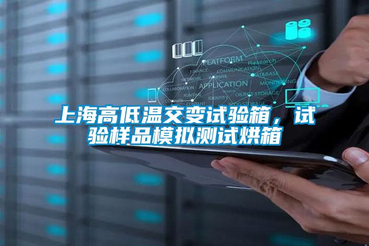 上海高低溫交變試驗箱，試驗樣品模擬測試烘箱