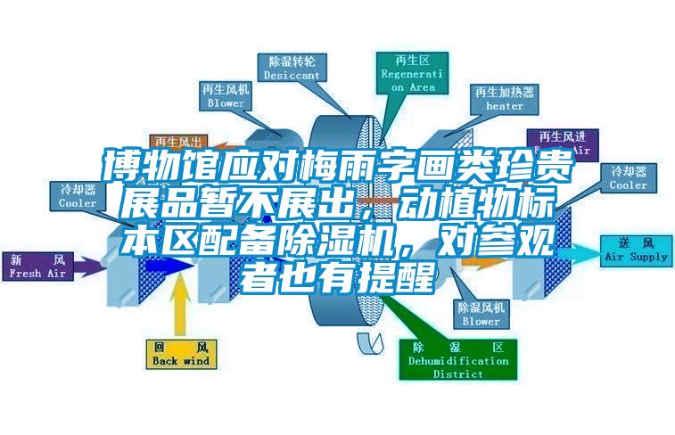博物館應對梅雨字畫類珍貴展品暫不展出，動植物標本區(qū)配備除濕機，對參觀者也有提醒