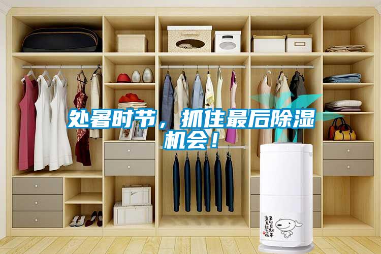 處暑時(shí)節(jié)，抓住最后除濕機(jī)會(huì)！