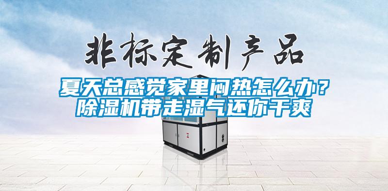 夏天總感覺家里悶熱怎么辦？除濕機帶走濕氣還你干爽