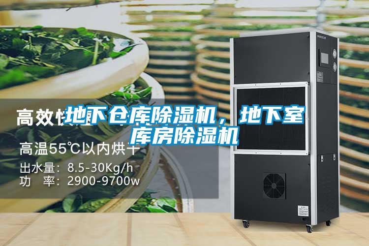 地下倉庫除濕機(jī)，地下室?guī)旆砍凉駲C(jī)