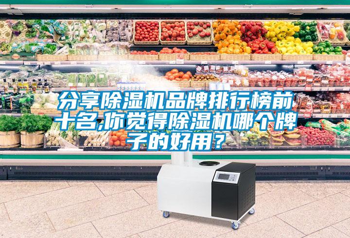 分享除濕機品牌排行榜前十名,你覺得除濕機哪個牌子的好用？