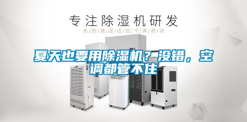 夏天也要用除濕機(jī)？沒(méi)錯(cuò)，空調(diào)都管不住