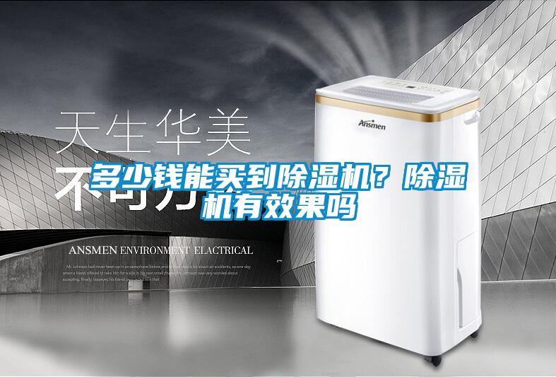 多少錢能買到除濕機？除濕機有效果嗎