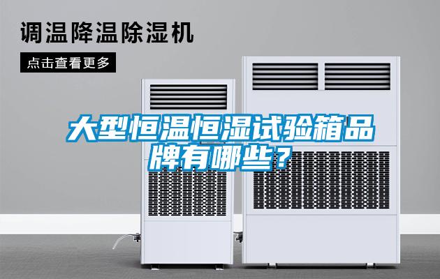大型恒溫恒濕試驗(yàn)箱品牌有哪些？