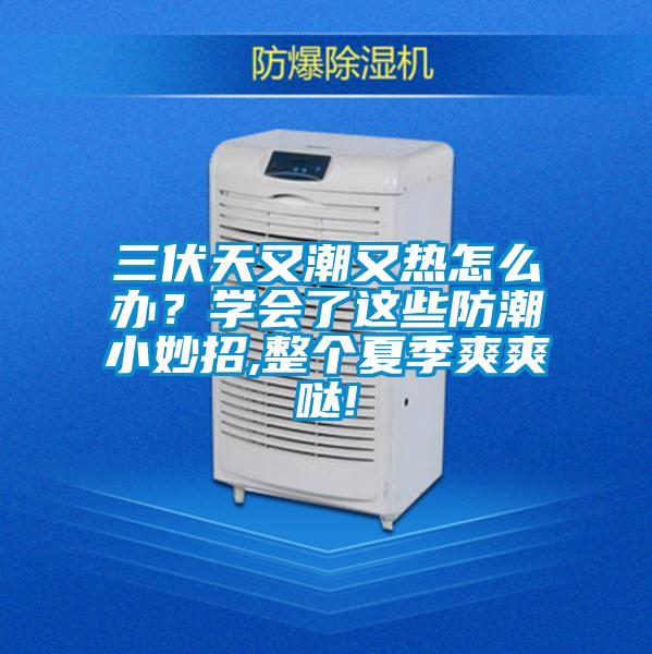 三伏天又潮又熱怎么辦？學(xué)會了這些防潮小妙招,整個夏季爽爽噠!