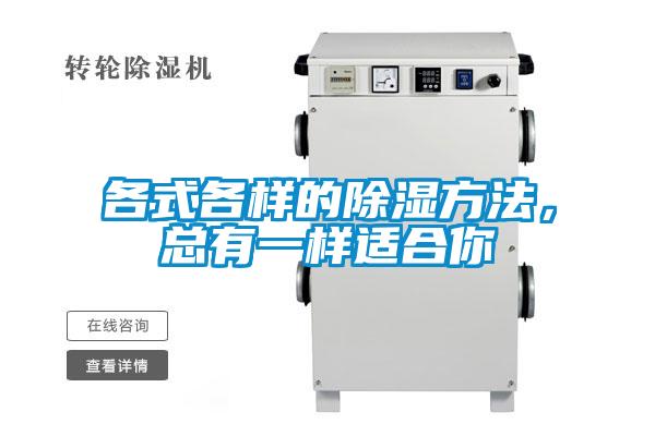 各式各樣的除濕方法，總有一樣適合你