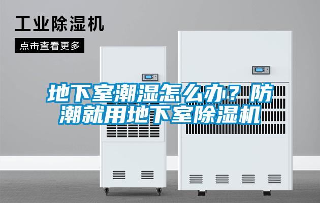 地下室潮濕怎么辦？防潮就用地下室除濕機(jī)