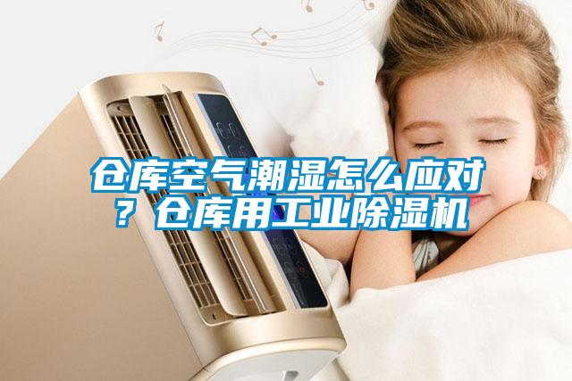 倉庫空氣潮濕怎么應(yīng)對？倉庫用工業(yè)除濕機(jī)