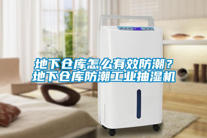 地下倉(cāng)庫(kù)怎么有效防潮？地下倉(cāng)庫(kù)防潮工業(yè)抽濕機(jī)