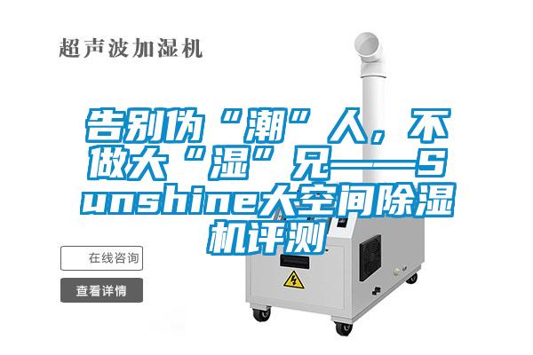 告別偽“潮”人，不做大“濕”兄——Sunshine大空間除濕機評測