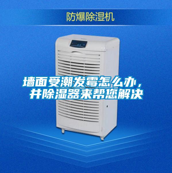 墻面受潮發(fā)霉怎么辦，東井除濕器來幫您解決