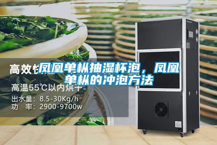 鳳凰單樅抽濕杯泡，鳳凰單樅的沖泡方法