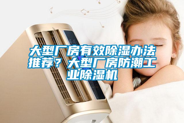 大型廠房有效除濕辦法推薦？大型廠房防潮工業(yè)除濕機(jī)